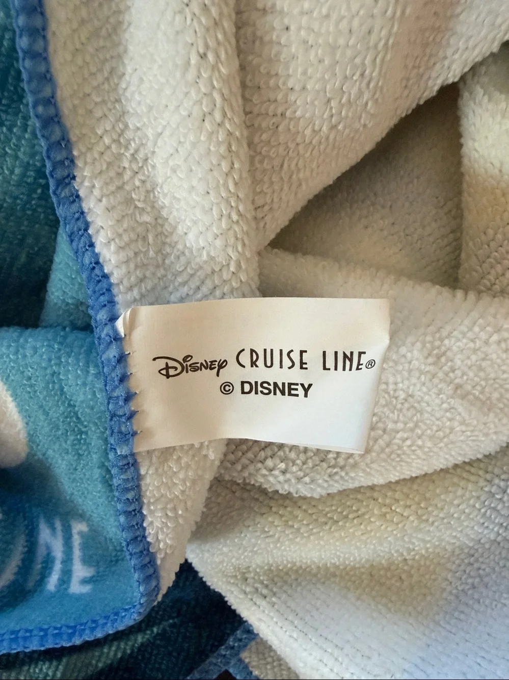 Disney large beach